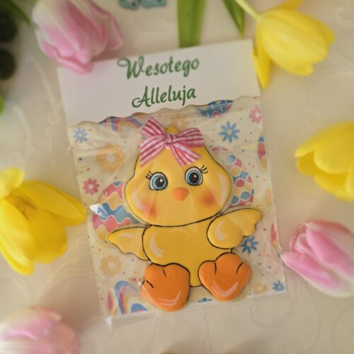 Kaczka z kartonikiem